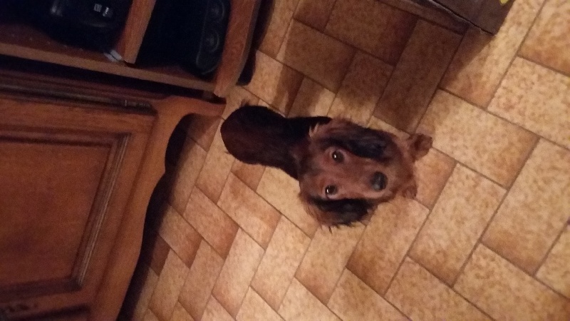 Laya des Petits Razmoket